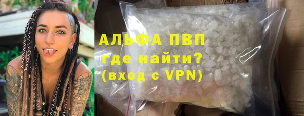 сатива Аркадак