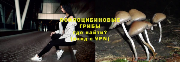 ПСИЛОЦИБИНОВЫЕ ГРИБЫ Всеволожск