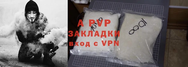 сатива Аркадак