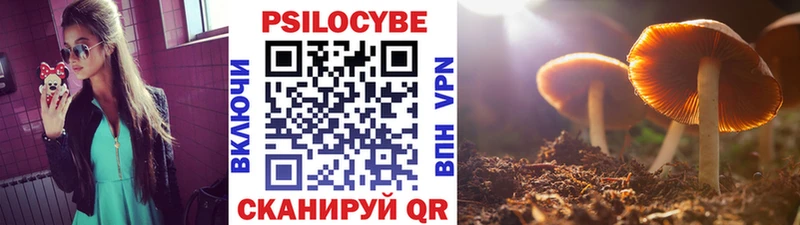 Галлюциногенные грибы Psilocybe  blacksprut tor  маркетплейс наркотические препараты  Комсомольск 